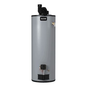 GSW Power Direct Vent Gas Water Heater